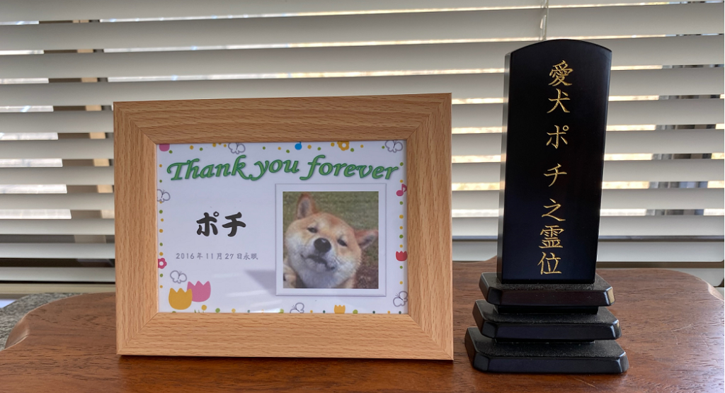 ペット火葬後のご供養事例 逢の杜ペット霊園コラム